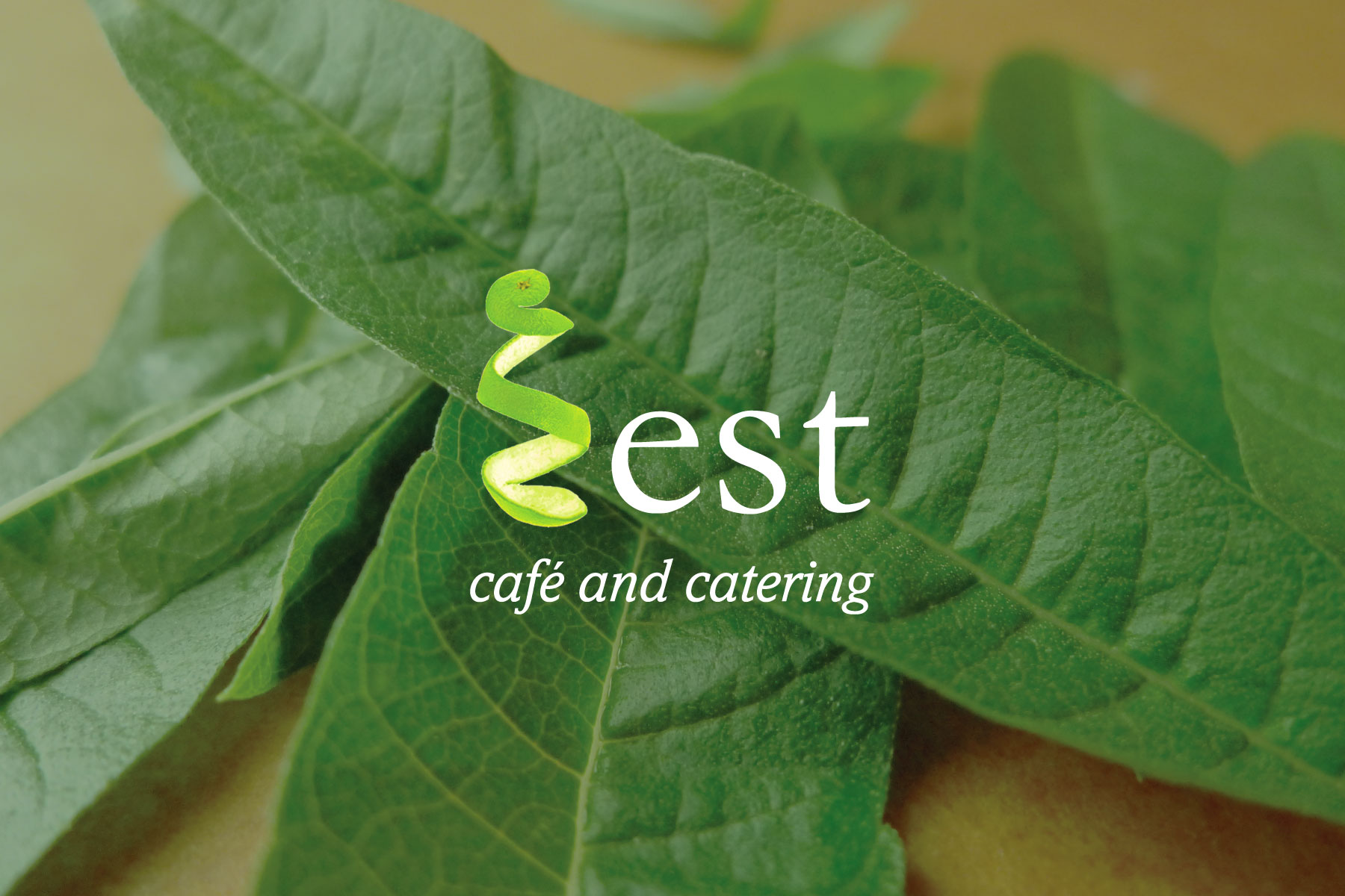 OneMarketing-zest