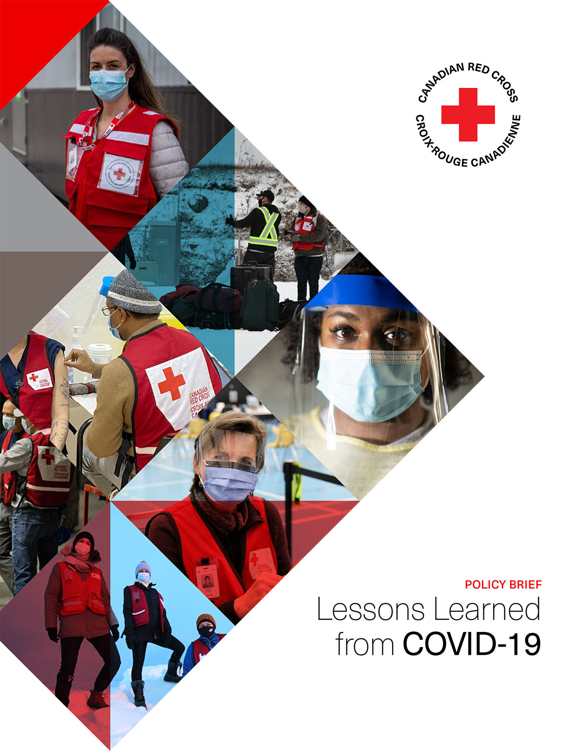 One-Marketing client - Canadian Red Cross - Policy Brief sample 4