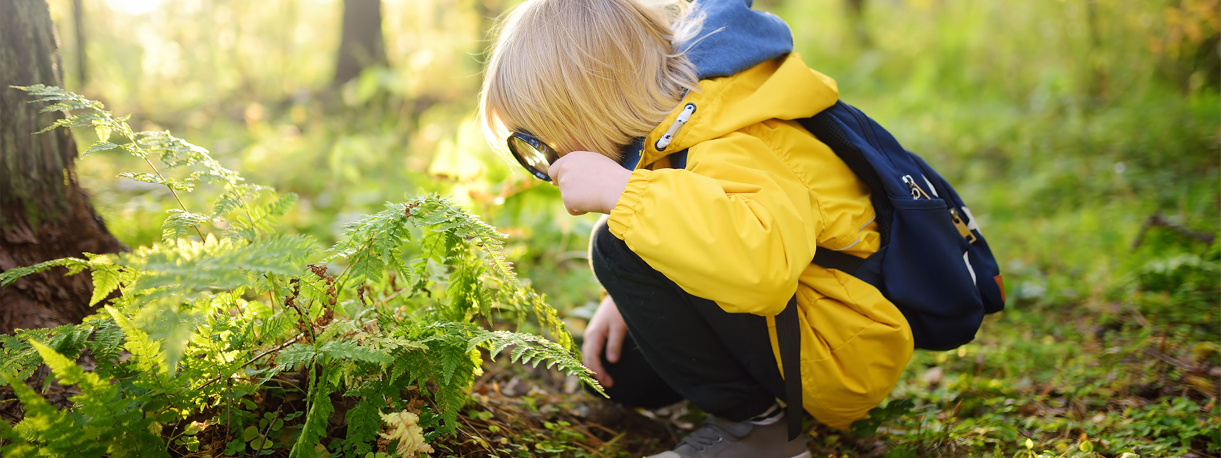 One Marketing - Client Nature Canada - Young blonde haired boy wearing a yellow rain jacket bent down looking at a fern with a magnifying glass.