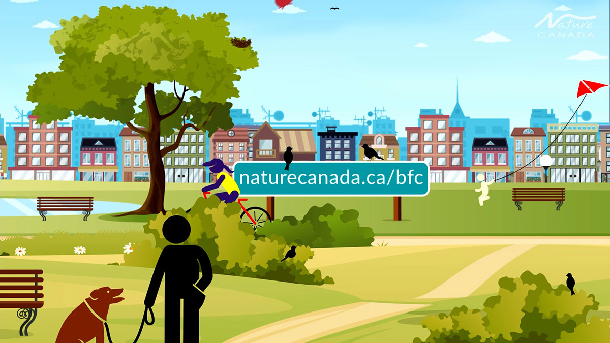 One-Marketing - Portfolio - Nature Canada video sample 5